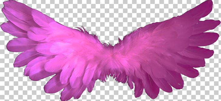 Angel PNG, Clipart, Angel, Download, Fantasy, Feather, Heaven Free PNG Download