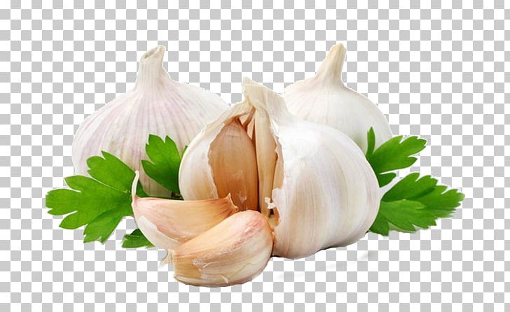 Indian Cuisine Garlic Fettuccine Alfredo Food Olive Oil PNG, Clipart, Allicin, Cuisine, Elephant Garlic, Flavor, Garlic Free PNG Download