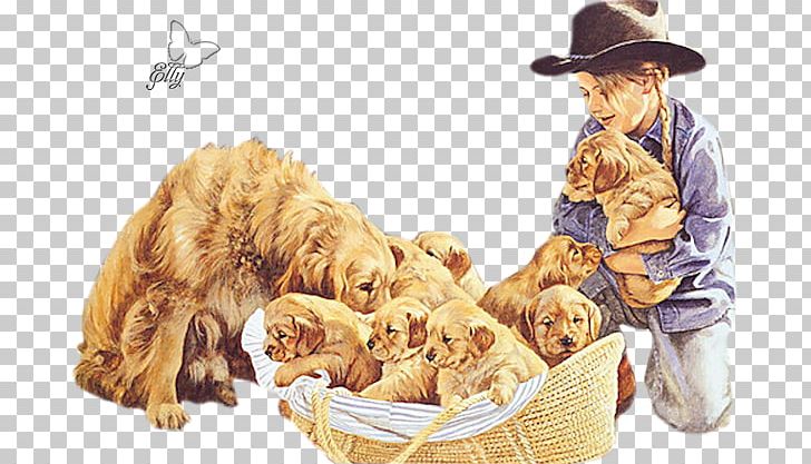 Puppy Golden Retriever English Cocker Spaniel Animal PNG, Clipart, Animal, Animation, Carnivoran, Dog, Dog In Kind Free PNG Download
