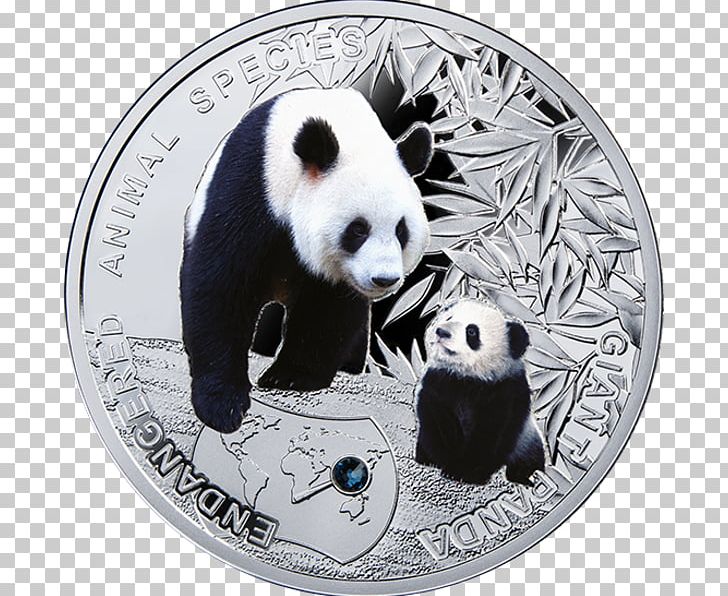 The Giant Panda Endangered Species Silver Coin PNG, Clipart, Amur Leopard, Animal, Bear, Carnivoran, Chinese Gold Panda Free PNG Download
