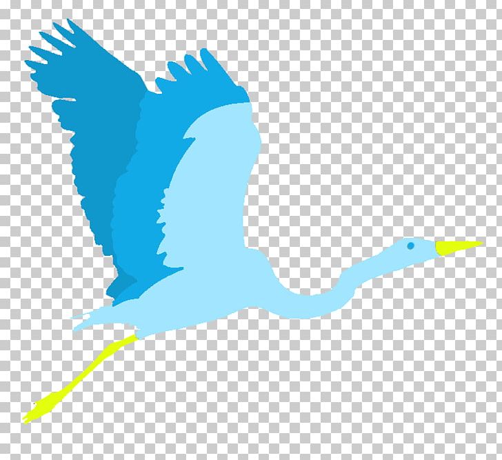 Beak Ducks PNG, Clipart, Area, Beak, Bird, Blue, Cygnini Free PNG Download