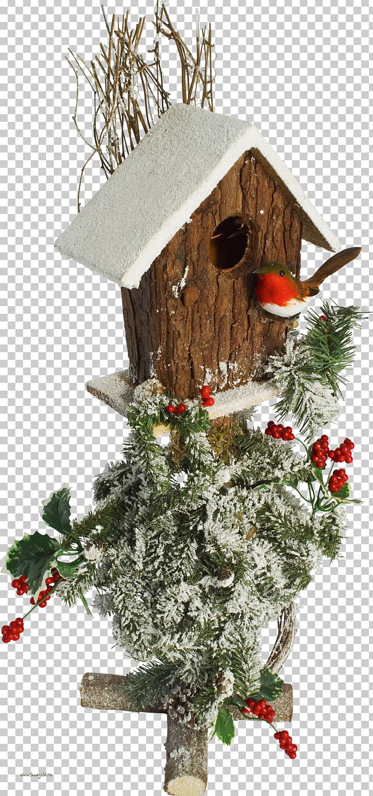 Christmas Tree Photography Christmas Decoration PNG, Clipart, Birdhouse, Branch, Christmas, Christmas Decoration, Christmas Ornament Free PNG Download