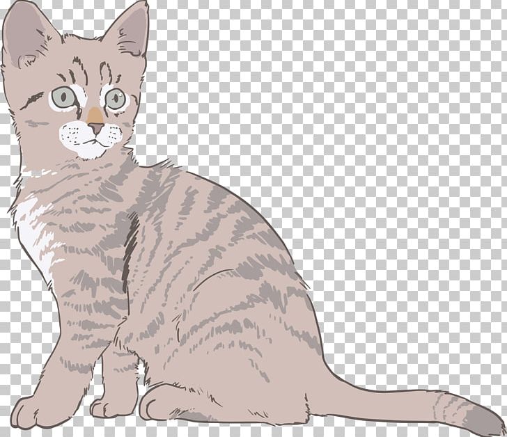 Kitten Sphynx Cat Drawing PNG, Clipart, American Shorthair, American Wirehair, Animals, Asian, Australian Mist Free PNG Download