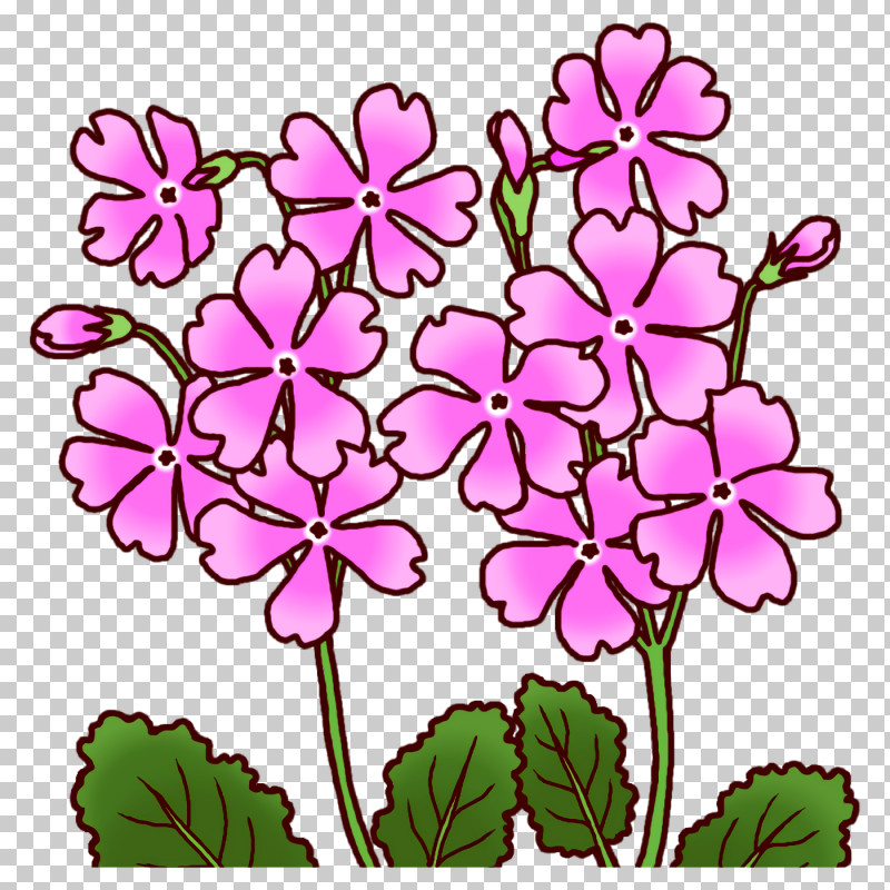 Floral Design PNG, Clipart, Cut Flowers, Floral Design, Flower, Geranium M, Geraniums Free PNG Download