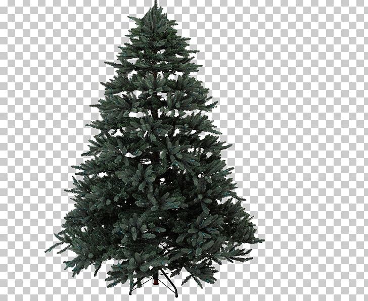 Artificial Christmas Tree Christmas Tree Stands PNG, Clipart, Artificial Christmas Tree, Balsam Fir, Balsam Hill, Candle, Celebrities Free PNG Download