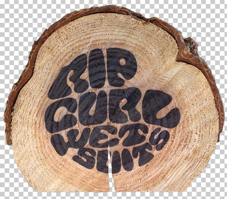 Download Rip curl Logo