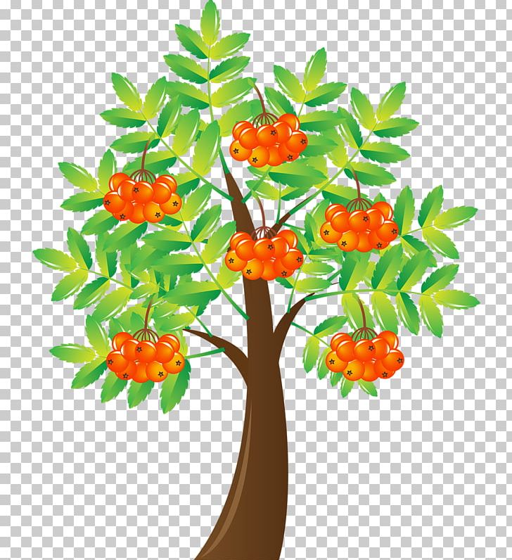 Tree Drawing PNG, Clipart, Branch, Cartoon, Cartoon Couple, Drawing, Encapsulated Postscript Free PNG Download