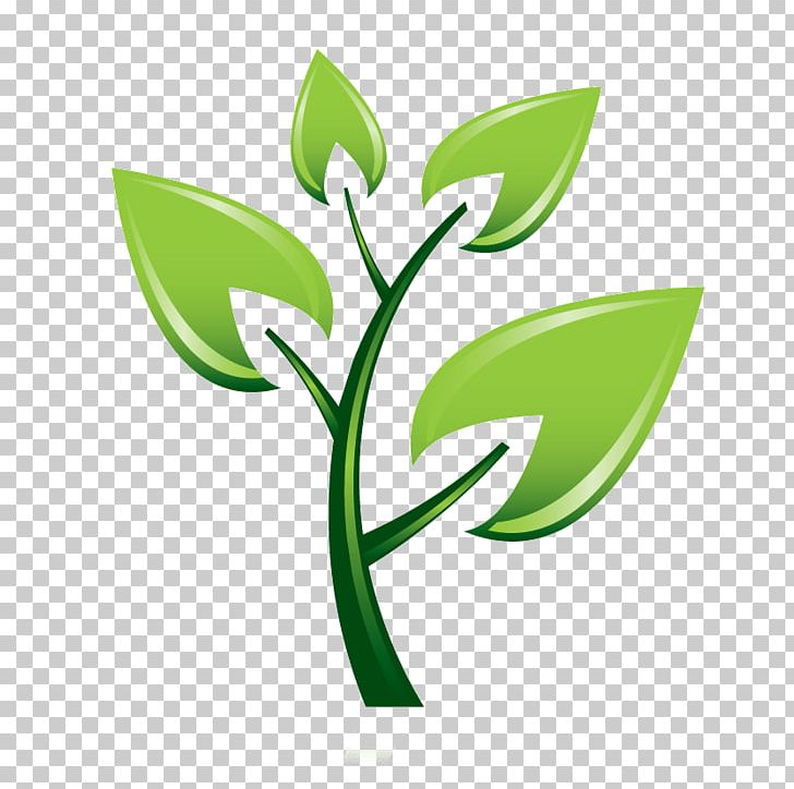 Trees And Shrubs Tree Planting Montrose Tree Services PNG, Clipart, Arbor Day, Bio, Branch, Brand, Clip Art Free PNG Download