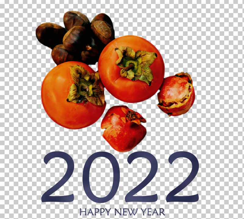 Tomato PNG, Clipart, Fruit, Local Food, Meter, Natural Food, Paint Free PNG Download