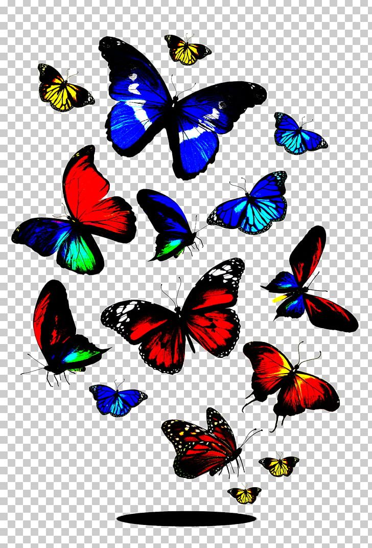 Butterfly Stock Photography PNG, Clipart, Brush Footed Butterfly, Color, Color Pencil, Color Powder, Colors Free PNG Download