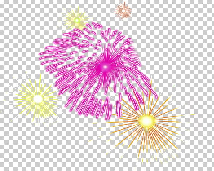 Fireworks Creativity PNG, Clipart, Beauty, Beauty Salon, Chinese New Year, Circle, Color Free PNG Download