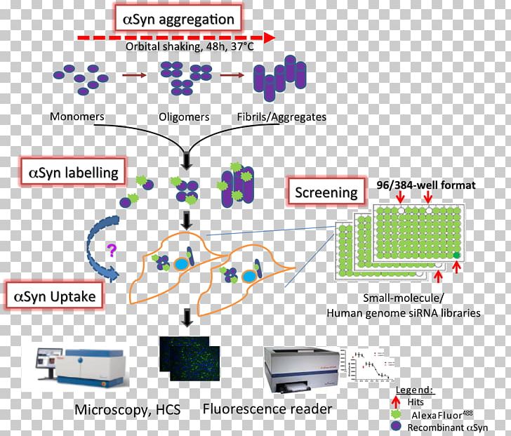 Line Technology Point PNG, Clipart, Area, Diagram, Line, Organization, Pathology Lab Free PNG Download