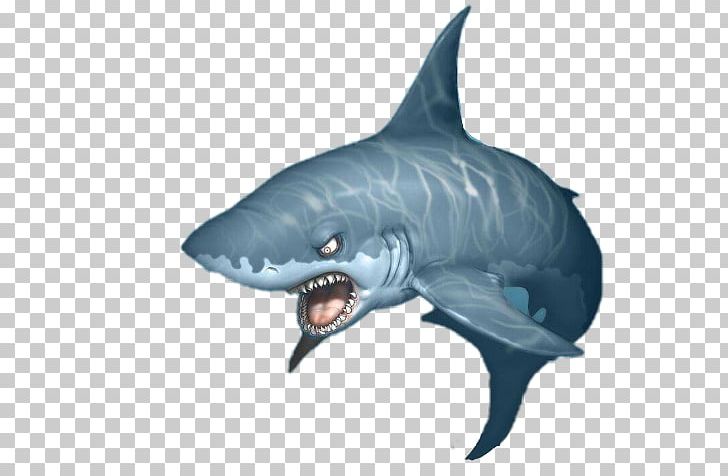 Sawshark Great White Shark Whale Shark PNG, Clipart, Animal, Animals, Bull Shark, Carcharhiniformes, Cartilaginous Fish Free PNG Download
