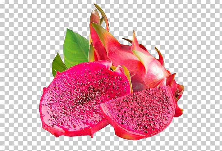 Juice Pitaya White-fleshed Pitahaya Hylocereus Megalanthus Mexican Cuisine PNG, Clipart, Accessory Fruit, Dried Fruit, Extract, Food, Fruit Free PNG Download