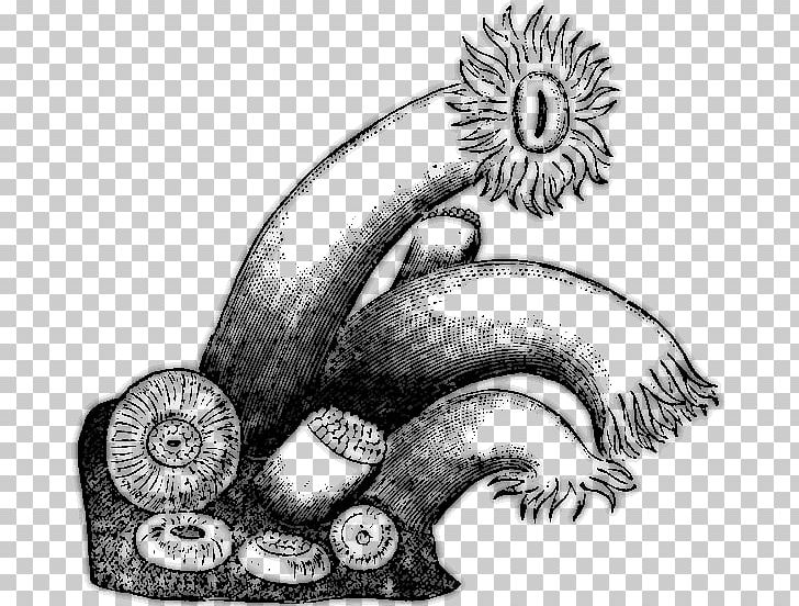 Polyp Coral Reef Tubastraea Stony Corals PNG, Clipart, Art, Artwork, Atoll, Automotive Design, Black And White Free PNG Download