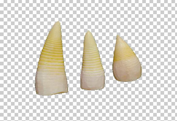 Bamboo Shoot PNG, Clipart, Agricultural Products, Bamboo, Bamboo Leaves, Bamboo Shoot, Bamboo Shoots Free PNG Download