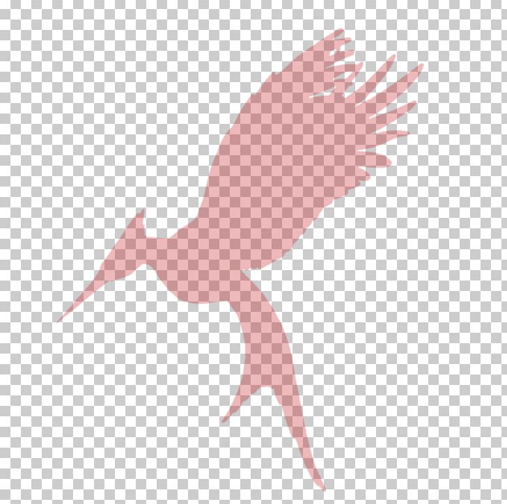 Catching Fire Mockingjay Art Stork Bird PNG, Clipart, Art, Beak, Bird, Catching Fire, Ciconiiformes Free PNG Download