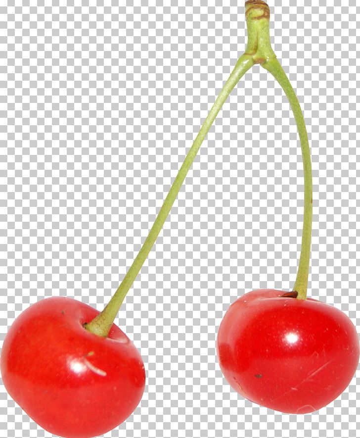 Cherry PNG, Clipart, Cherry, Food, Fruit, Fruit Nut, Plant Free PNG Download
