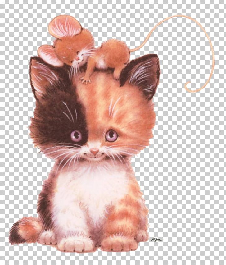 Kitten Computer Mouse Persian Cat Cat And Mouse PNG, Clipart, Animal, Animals, Calico Cat, Carnivoran, Cat Free PNG Download