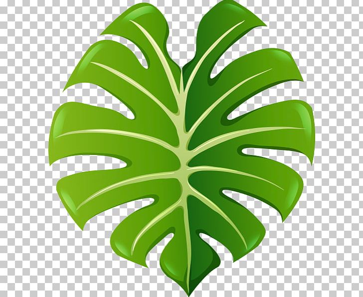 Leaf Green PNG, Clipart, Copyright, Depositphotos, Digital Image, Encapsulated Postscript, Green Free PNG Download