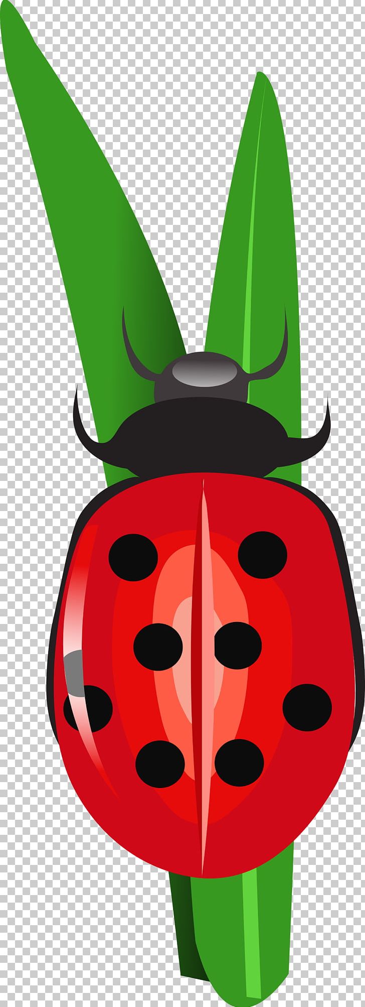 Insect Coccinella Volkswagen Beetle PNG, Clipart, Animals, Cartoon, Coccinella, Download, Drawing Free PNG Download