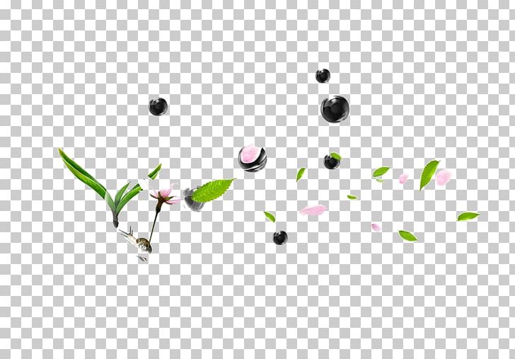 Petal Flower Leaf PNG, Clipart, Decoration, Designer, Diagram, Download, Falling Free PNG Download