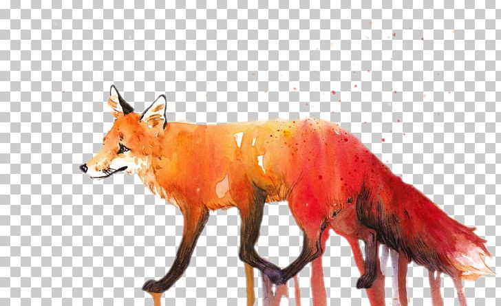 Small Fire Red Fox Pull Material Free PNG, Clipart, Animal, Canidae, Carnivora, Carnivoran, Cartoon Free PNG Download