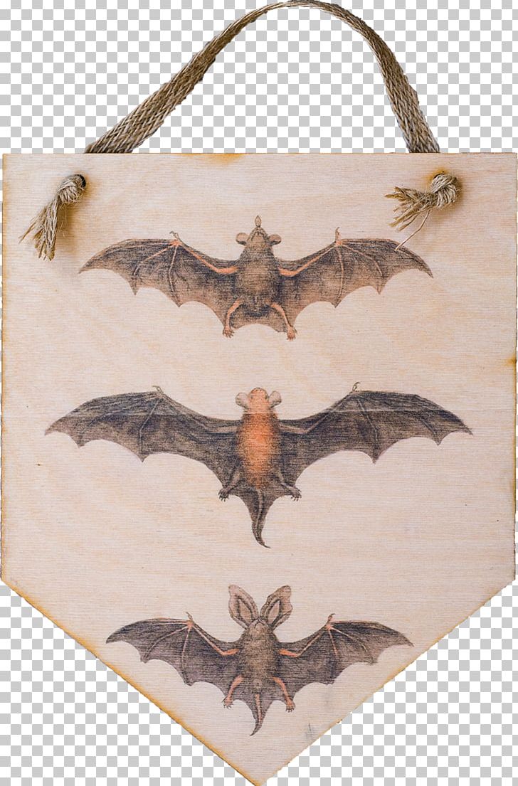 Bat Illustration Drawing Graphics PNG, Clipart, Animals, Art, Bat, Biological Illustration, Bird Free PNG Download