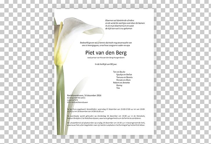 Brand Font PNG, Clipart, Brand, Calla, Calla Lilly, Flower, Font Free PNG Download