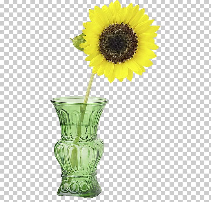Common Sunflower Vase With Three Sunflowers Cut Flowers Perennial Sunflower PNG, Clipart, Alive, Common Sunflower, Cut Flowers, Daisy Family, Drawing Free PNG Download