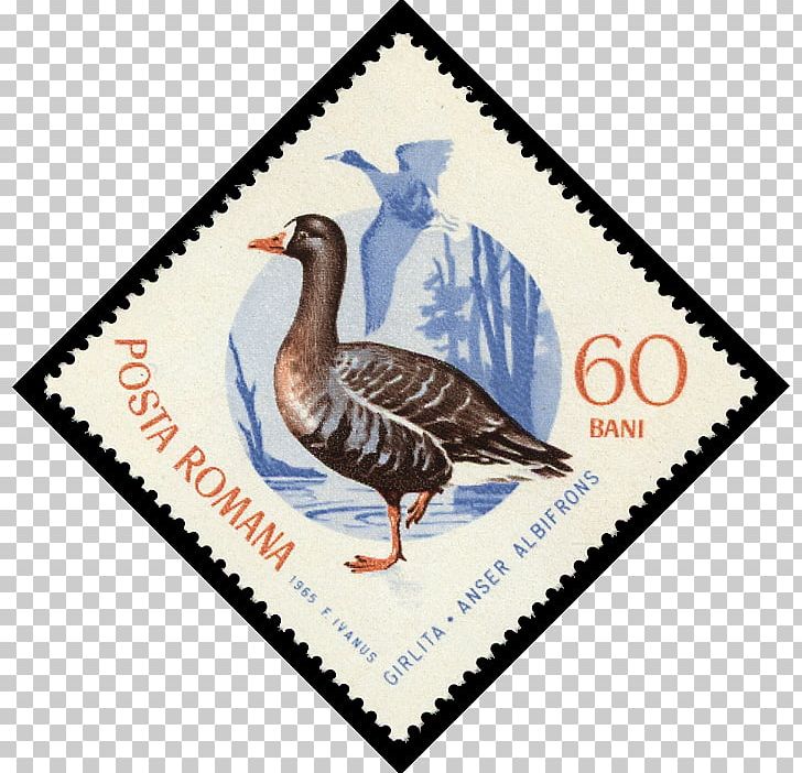Duck Goose Sbeitla 0 Postage Stamps PNG, Clipart, 10065, Animals, Beak, Belt, Bird Free PNG Download