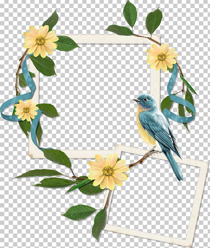 Frames Digital Scrapbooking Paper PNG, Clipart, Art, Beak, Beautiful, Bird, Bluebird Free PNG Download