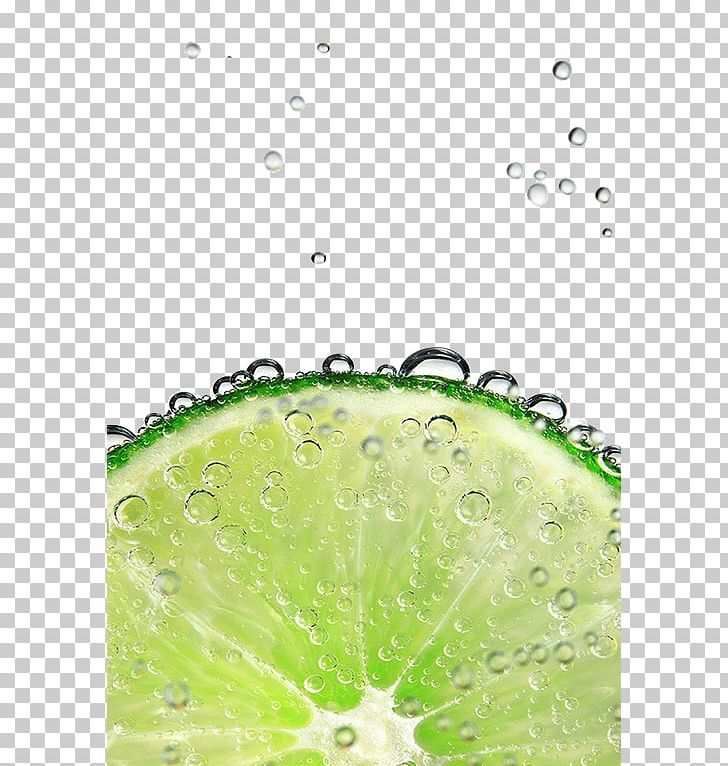 Lemon-lime Drink Lemonade Water Key Lime PNG, Clipart, Bubble, Citrus, Drinking, Drop, Food Free PNG Download