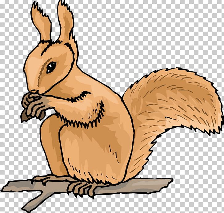 Squirrel Free Content PNG, Clipart, Animal Figure, Animation, Artwork, Beak, Blog Free PNG Download