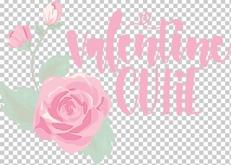 Floral Design PNG, Clipart, Cabbage Rose, Cut Flowers, Floral Design, Flower, Garden Free PNG Download