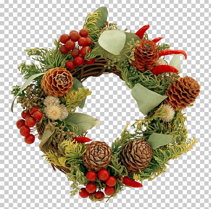 Advent Wreath Christmas Crown Desktop PNG, Clipart, Advent Wreath, Christmas, Christmas Decoration, Christmas Ornament, Coronas Free PNG Download