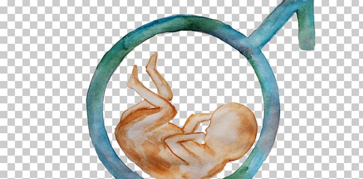 Body Jewellery Ear Organism Turquoise PNG, Clipart, Body Jewellery, Body Jewelry, Ear, Jewellery, Organ Free PNG Download