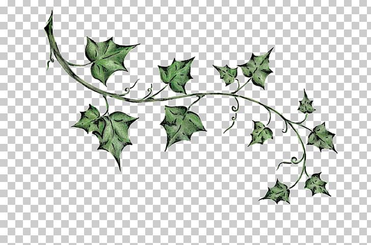 Ivy Tattoo Drawing PNG, Clipart, Art, Artwork, Branch, Deviantart, Drawing Free PNG Download