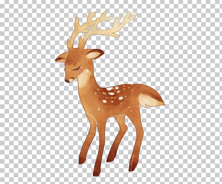 Reindeer White-tailed Deer Antler Wildlife PNG, Clipart, Animal, Animal Figure, Antler, Cartoon, Deer Free PNG Download