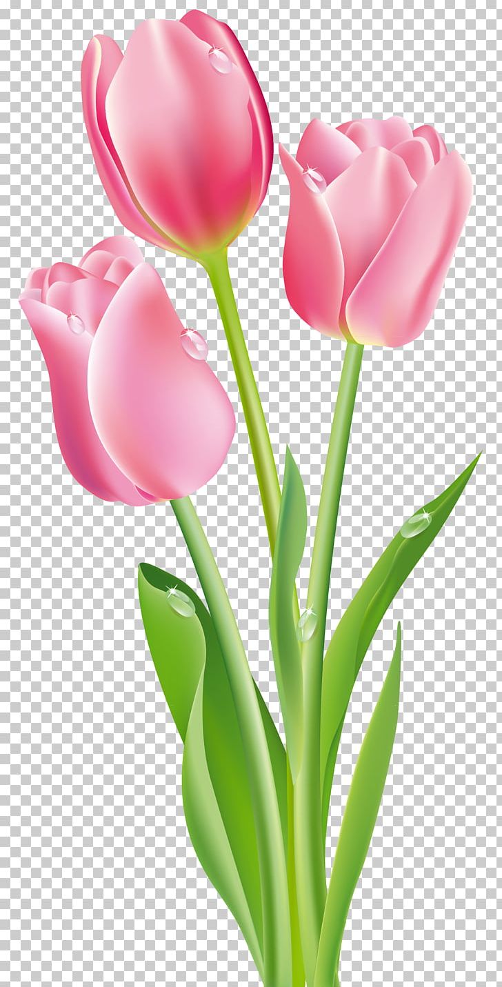 Tulipa Gesneriana Flower PNG, Clipart, Artificial Flower, Cut Flowers, Desktop Wallpaper, Flower, Flower Bouquet Free PNG Download