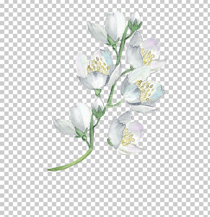Watercolor Painting Flower Floral Design Illustration PNG, Clipart, Artificial Flower, Blossom, Branch, Cartoon, Color Free PNG Download