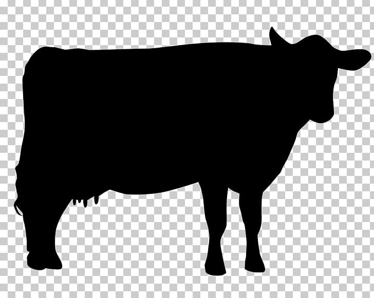 Holstein Friesian Cattle Jersey Cattle Hereford Cattle Beef Cattle Santa Gertrudis Cattle PNG, Clipart, Animals, Beef Cattle, Black And White, Bull, Cattle Free PNG Download