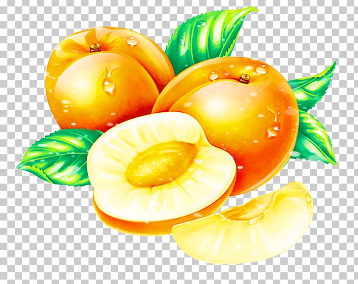Apricot Peach Fruit PNG, Clipart, Apricot Blossom Yellow, Apricot Flower, Apricots, Apricot Vector, Citrus Free PNG Download