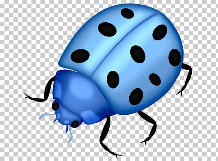 Insect Ladybird PNG, Clipart, Beatles, Beetle, Beneficial Insects, Bicycle Helmet, Blue Abstract Free PNG Download