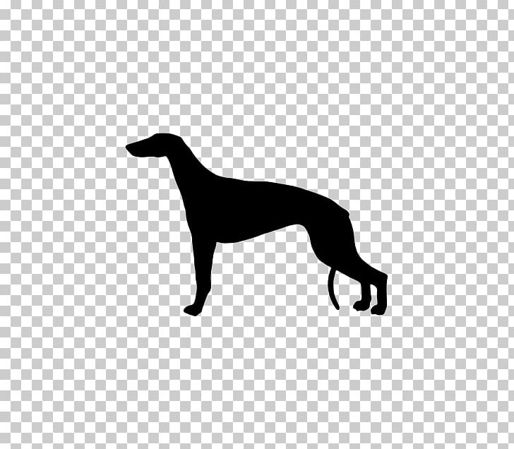 Italian Greyhound Whippet Sloughi Spanish Greyhound PNG, Clipart, Black, Black And White, Bumper Sticker, Carnivoran, Decal Free PNG Download