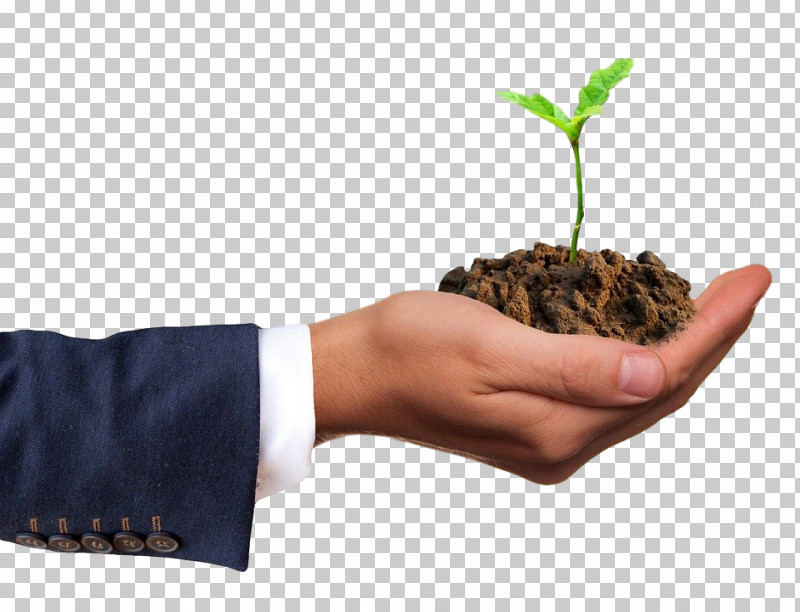 Hand Plant Soil Gesture Flowerpot PNG, Clipart, Flowerpot, Gesture, Hand, Plant, Soil Free PNG Download