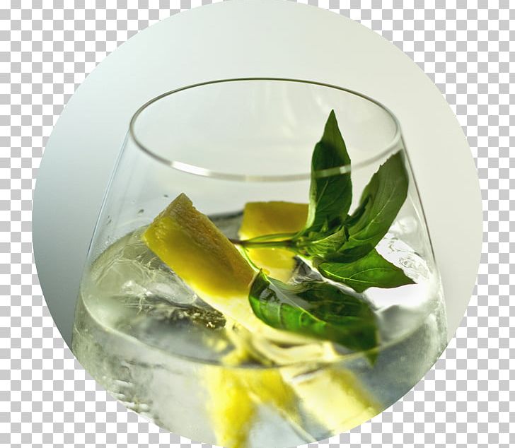 Cocktail Garnish Iron Balls Gin Distillery Gin And Tonic Tonic Water PNG, Clipart, Cast Iron, Cocktail, Cocktail Garnish, Distillation, Drink Free PNG Download