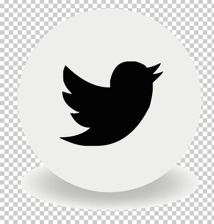 Social Media Advertising Business YouTube Logo PNG, Clipart, Advertising, Art Director, Beak, Bird, Business Free PNG Download
