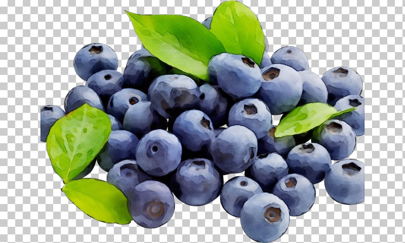 Bilberry Berry Blueberry Fruit Superfood PNG, Clipart, Berry, Bilberry, Blue, Blueberry, Chokeberry Free PNG Download