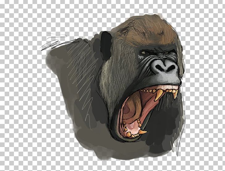 Common Chimpanzee Western Gorilla Snout PNG, Clipart, Chimpanzee, Common Chimpanzee, Gorilla, Great Ape, Head Free PNG Download